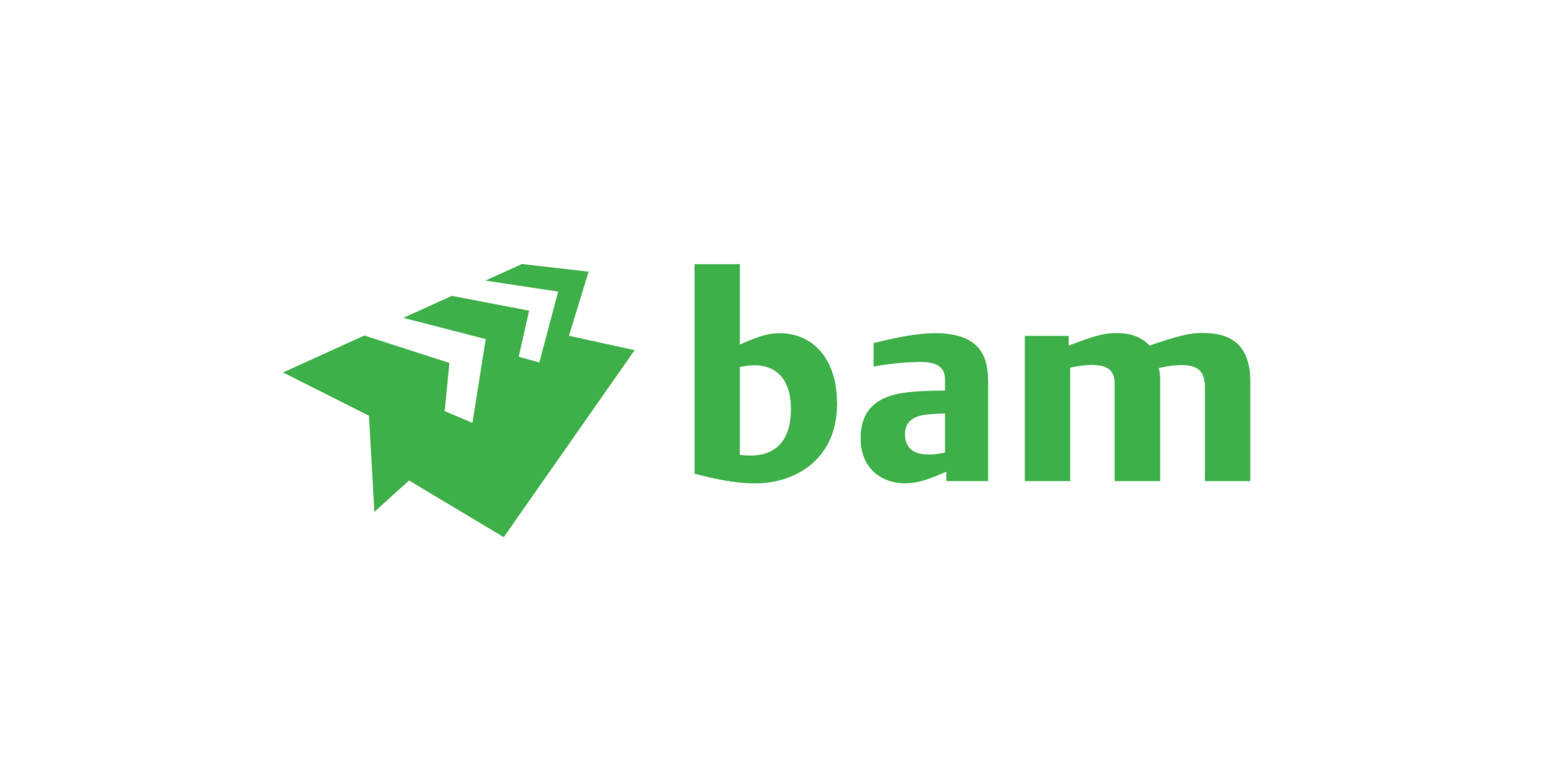 bam-logo